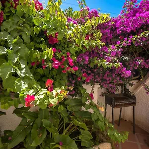 pinos-2.hotelsinnerja.org/